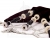 David Naill Bagpipe - DN5 Sterling Silver Tenor Tops