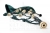 McCallum P3 Polypenco Bagpipe Front 2